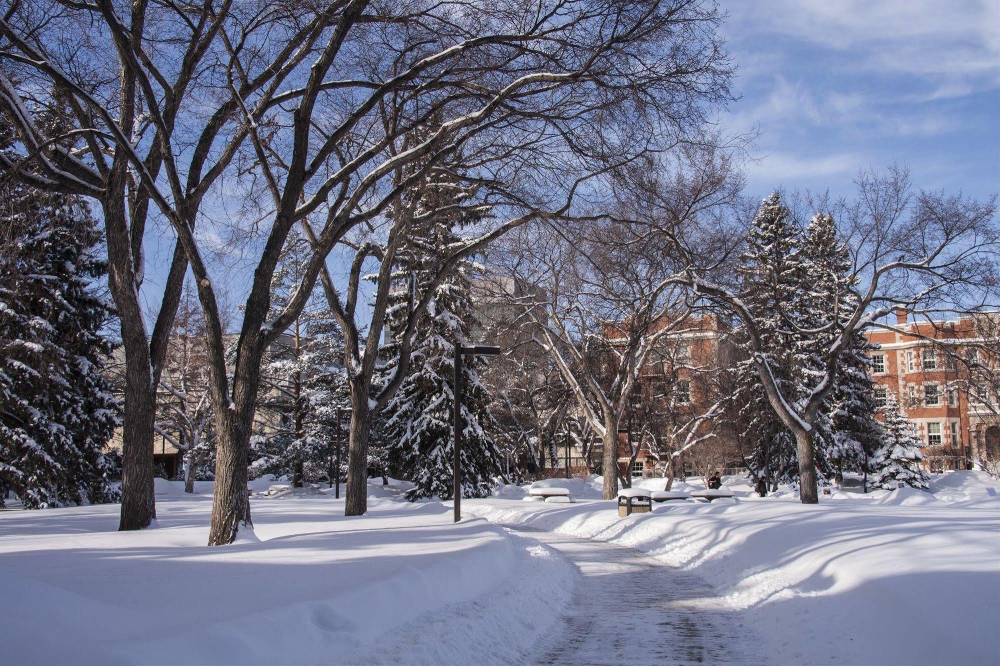 University Of Alberta - Hotel Edmonton Eksteriør billede